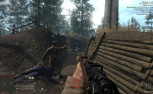 Verdun (PC)