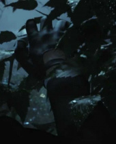 Neue Bilder und Trailer zu Hitman: Absolution