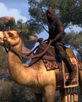 Video Details New Thieves Guild Features in TESO: Tamriel Unlimited