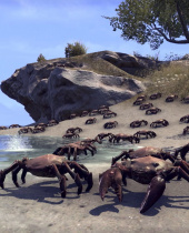 E3: The Elder Scrolls Online – The Dark Brotherhood and One Tamriel