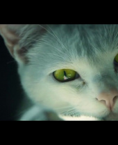 Tom Clancys Ghost Recon Wildlands – Can You Spot the Red Dot Live Action Trailer