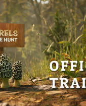 Morels: The Hunt