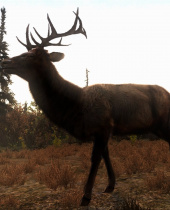 Cabelas Big Game Hunter: Pro Hunts ab sofort erhältlich
