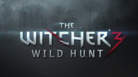 Release Date of The Witcher 3: Wild Hunt – An Open Letter