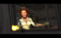 The Westerner 2