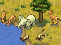 SimAnimals Afrika