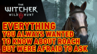 The Witcher III New DLC