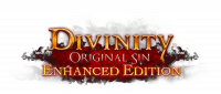 Divinity: Original Sin erscheint für aktuelle Konsolen