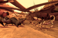 Deadly Creatures