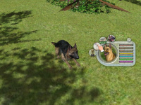 Rita Brentrups Fetch!  Ein Hund zum Liebhaben