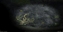 Pillars of Eternity Review