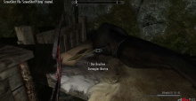 The Elder Scrolls V: Skyrim