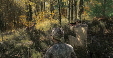 theHunter 2015 - Halali in den französischen Alpen und den Sümpfen des Mississippi-Deltas