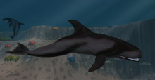 Zoo Tycoon 2 - Marine Mania