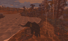 Shelter 3