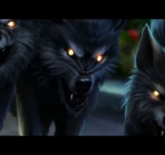 Shadow Wolf Mysteries - Blutmond