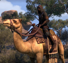 Video Details New Thieves Guild Features in TESO: Tamriel Unlimited