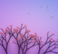 Eufloria erscheint in Kürze als Limited Edition im deutschsprachigen Handel