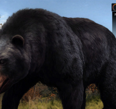 Cabelas Big Game Hunter: Pro Hunts ab sofort erhältlich