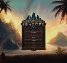 Pillars of Eternity 2