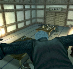 Tenchu: Shadow Assassins