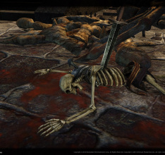 Dragons Prophet feiert einjähriges Jubiläum und öffnet neue Raid-Instanz