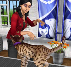 Haustiere erwünscht: Katzen & Hunde in Die Sims FreePlay erziehen und pflegen