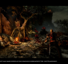 Screenshots zu Das Schwarze Auge - Demonicon