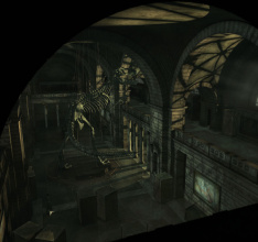 Face Noir hat Goldstatus erreicht