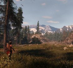 This Land Is My Land