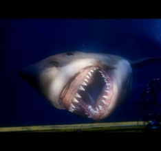 Project Morpheus Gameplay