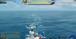 World of Fishing Screens