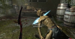The Elder Scrolls V: Skyrim
