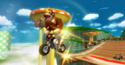 Mario Kart Wii