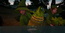 Black Desert