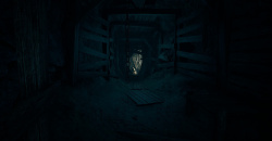 The Beast Inside