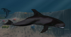 Zoo Tycoon 2 - Marine Mania