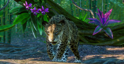 Planet Zoo – Die Erweiterungen